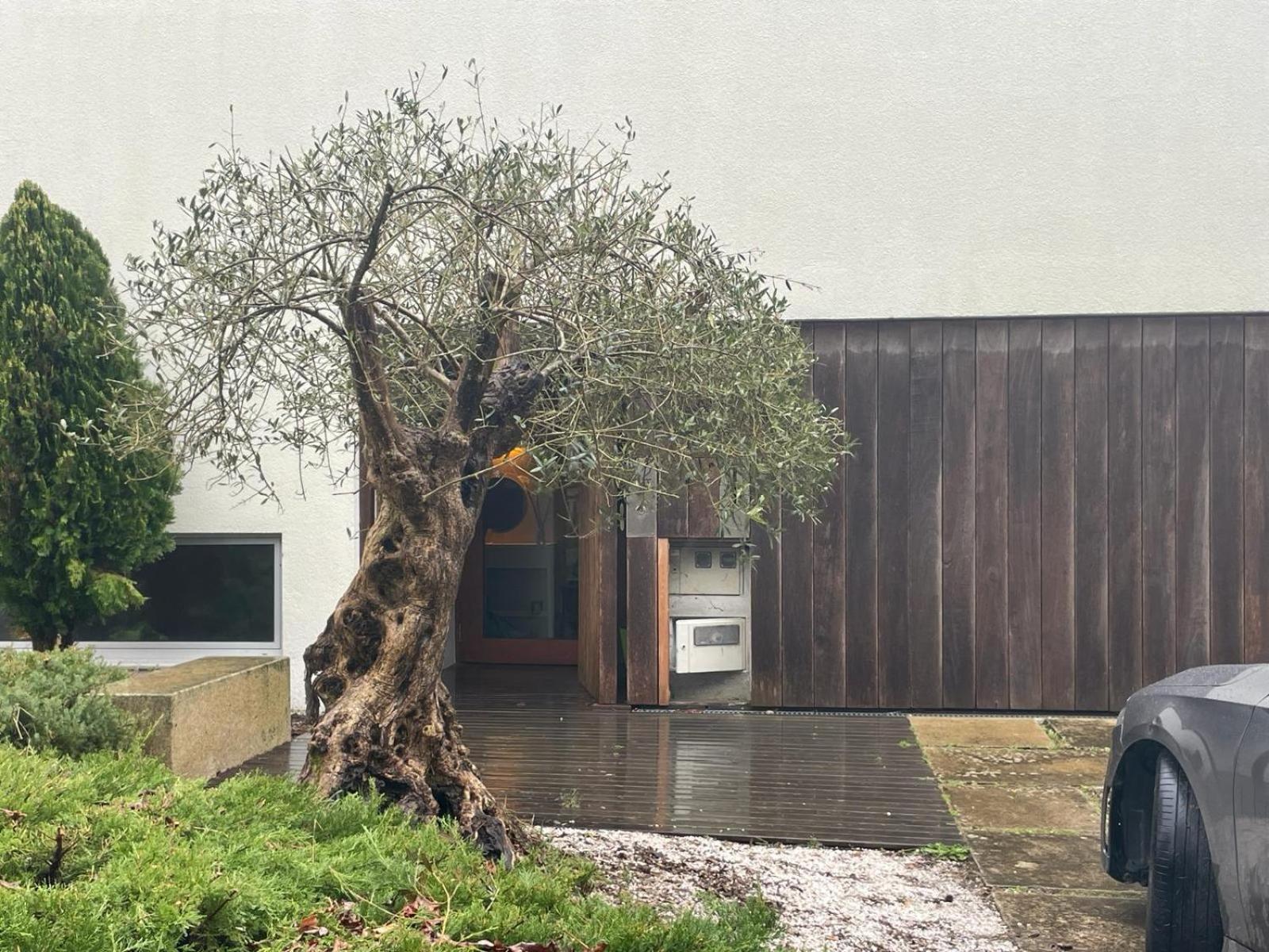 Gloria'S Design House Apartment Santiago de Compostela Exterior photo